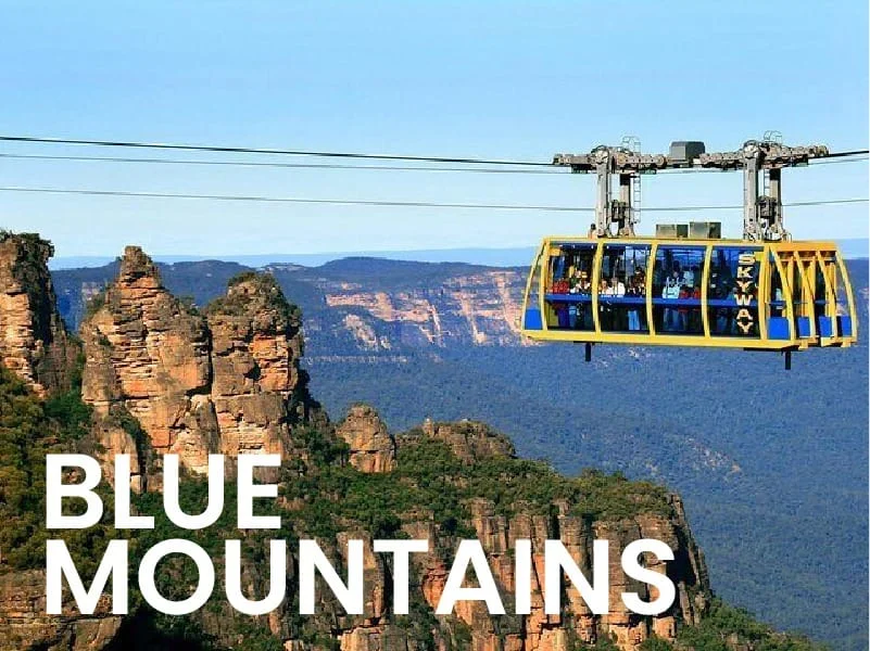 blue mountains tours