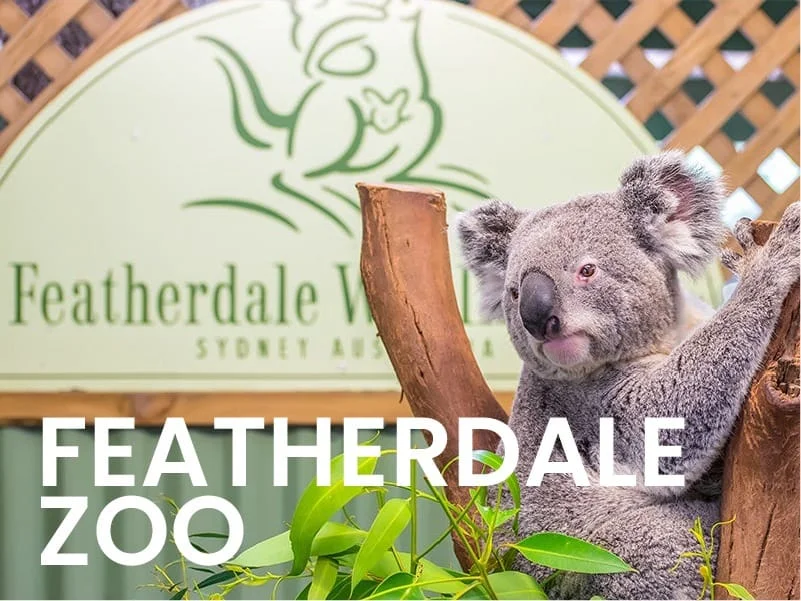 featherdale zoo tours